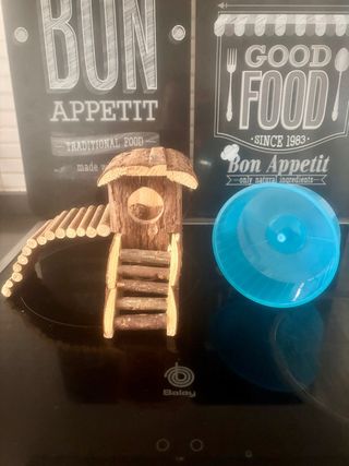 Accessori per gabbie per criceti: Casa e ruota