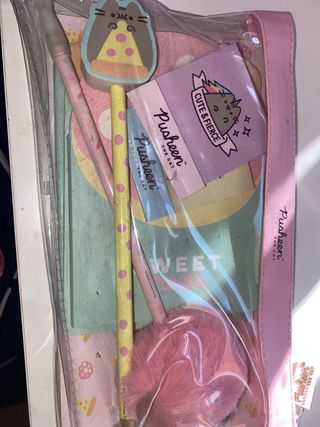 Estuche Pusheen kawaii