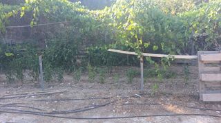 Terreno en venta en Teulada Pueblo en Teulada