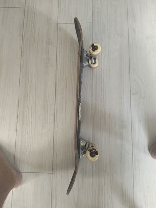 Skate Globe usado
