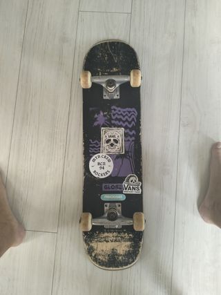 Skate Globe usado