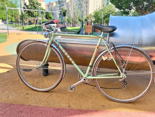 Bicicleta clásica Torrot