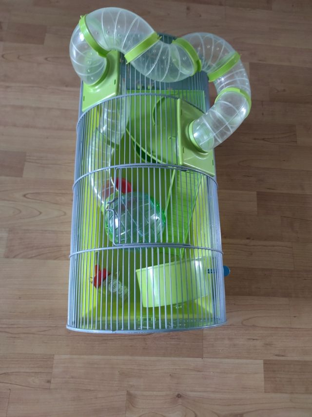 Jaula hamster verde - Bola