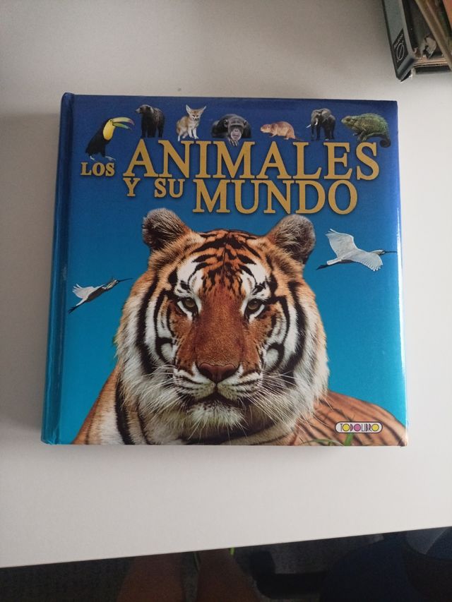 Los animales y su mundo (Spanish Edition)