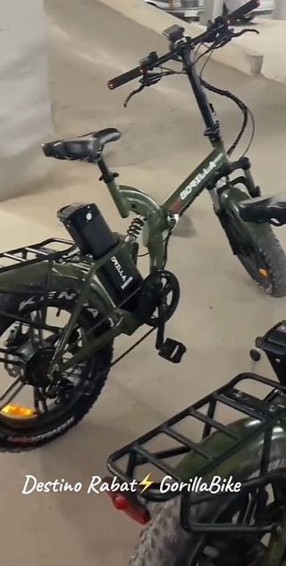 Bicicleta eléctrica plegable Gorilla