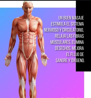 Masajista S.S. de los Reyes