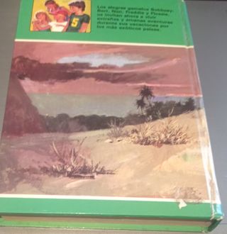La familia Bobbsey en la isla del volcán