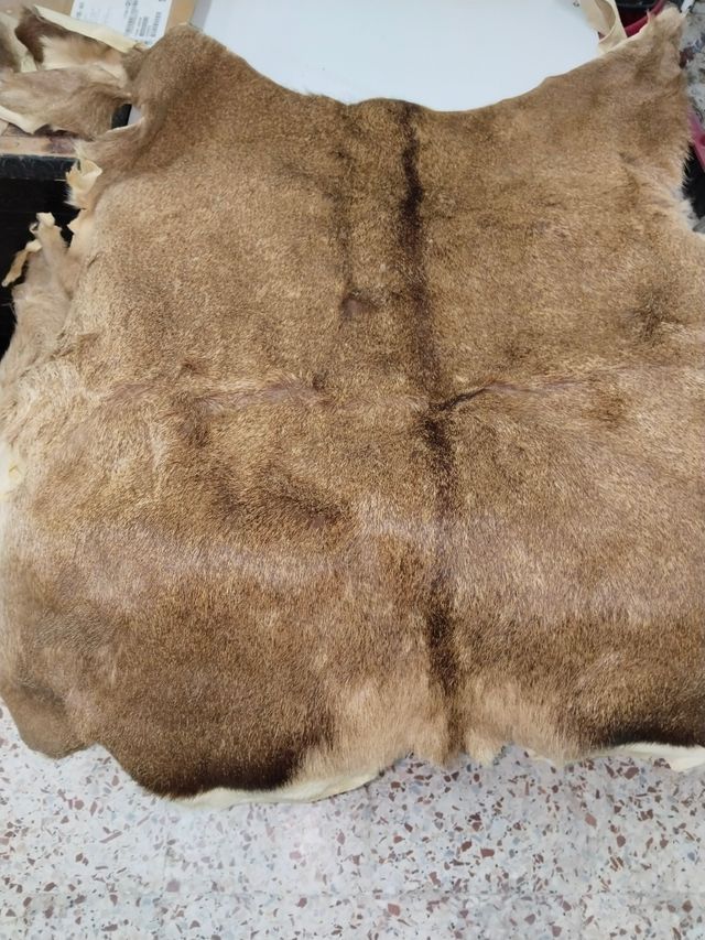 Pieles de animal curtidas (3)