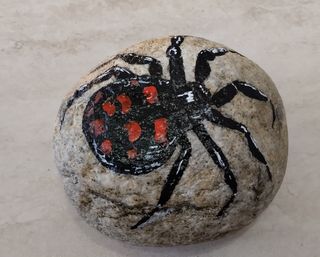 Ragno dipinto a mano su pietra