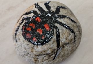 Ragno dipinto a mano su pietra