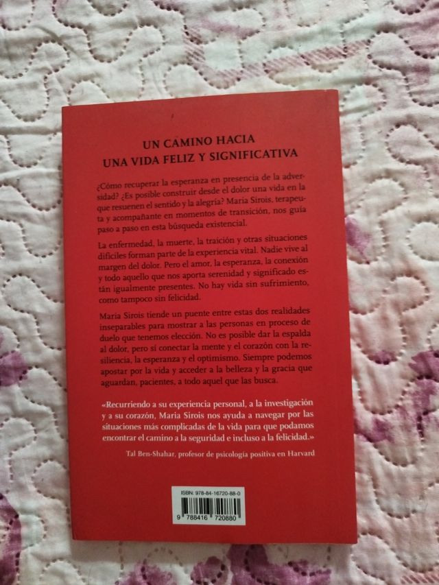 En los predios del sur (Spanish Edition)