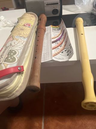2 Flautas dulces  Hohner y la funda