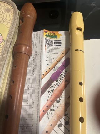 2 Flautas dulces  Hohner y la funda