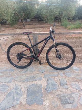 Bicicleta