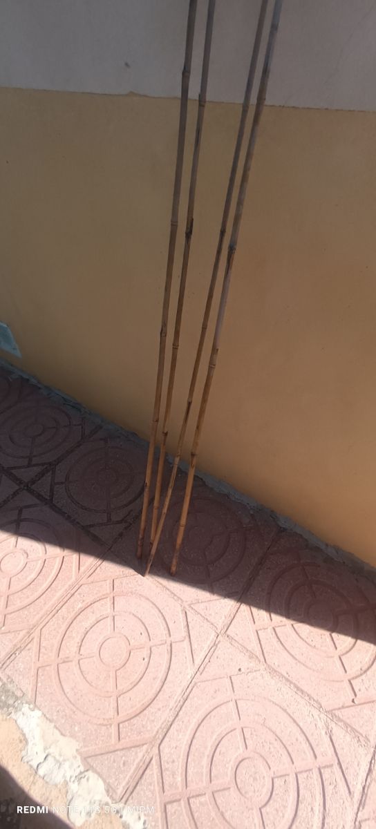 4 tutores plantas 150cm