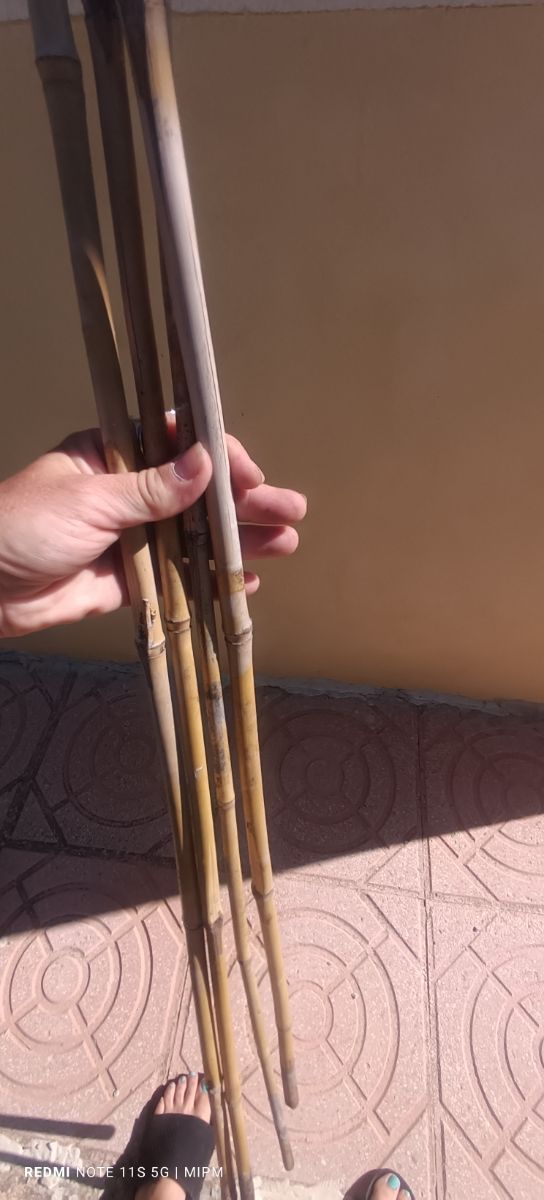 4 tutores plantas 150cm