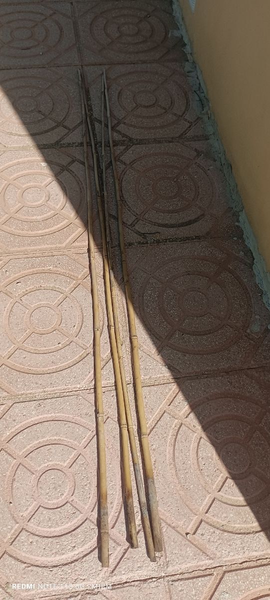 4 tutores plantas 150cm