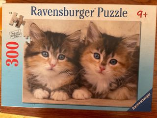 Rompecabezas Ravensburger 300 piezas