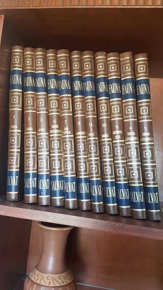 ENCICLOPEDIA SALVAT