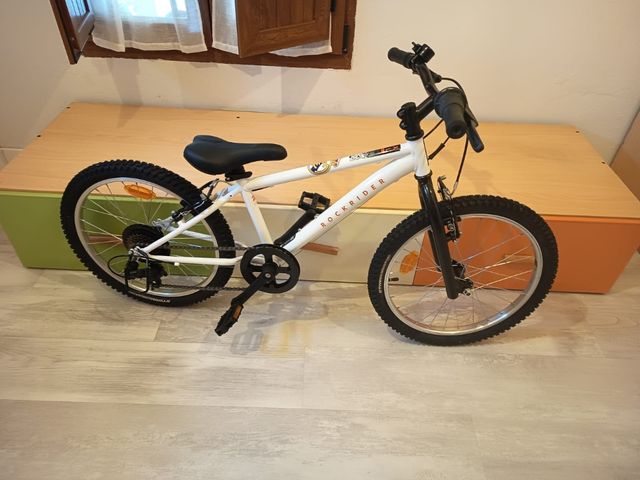 Bicicleta niño 20 pulgadas 