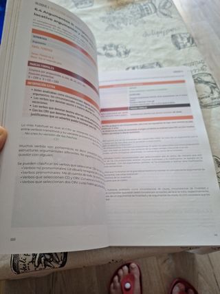 1º Y 2º BACHILLERATO DELFOS LENGUA CASTELLANA Y...