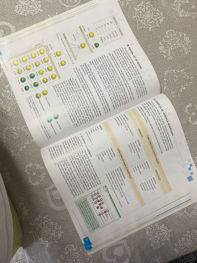 Biología y Geología 4º E.S.O.