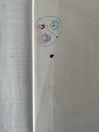 Ciencias Sociais. 4 Primaria. Revoa