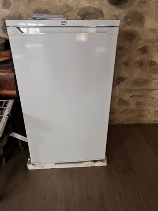 Congelador BEKO TS190320