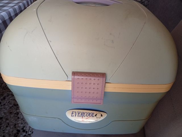 Nevera portátil para coche