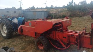 Empacadora Batlle - En buen estado