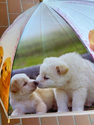 Ombrello bimbi cuccioli
