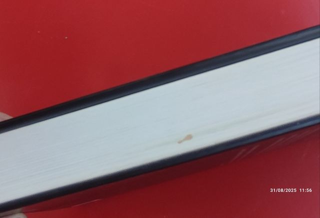 El último merovingio