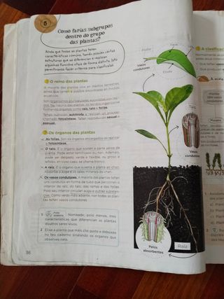 Ciencias da Natureza 5.