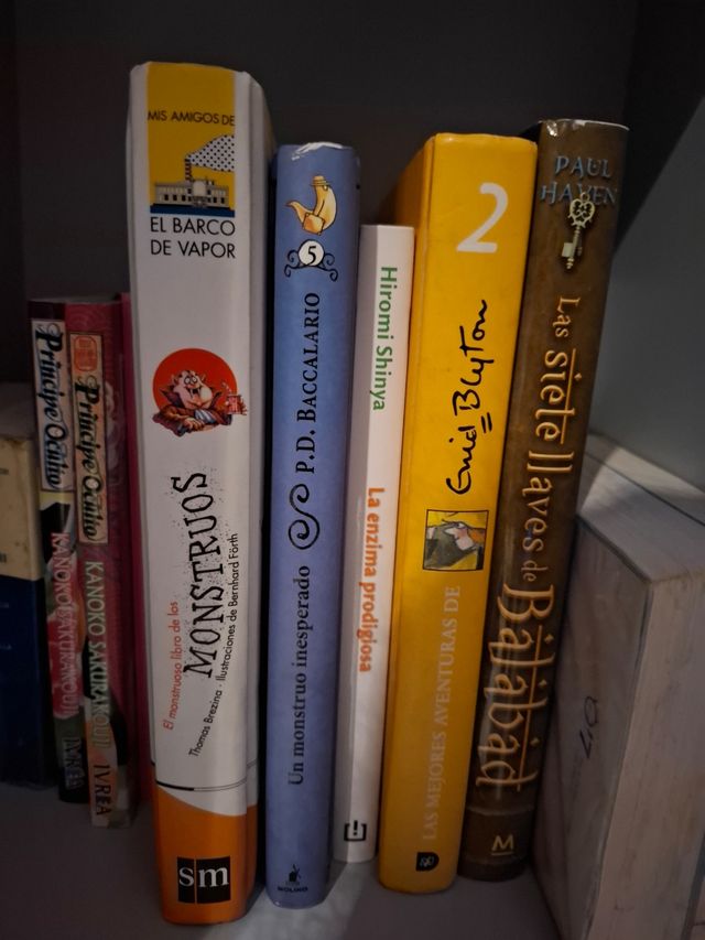 Varios libros infantiles y juveniles.
