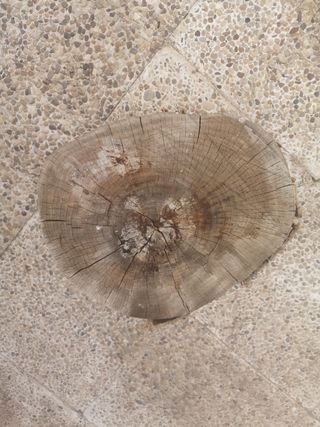 Mesita tronco madera