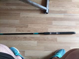 Caña Pesca SHINA Power Spin 330