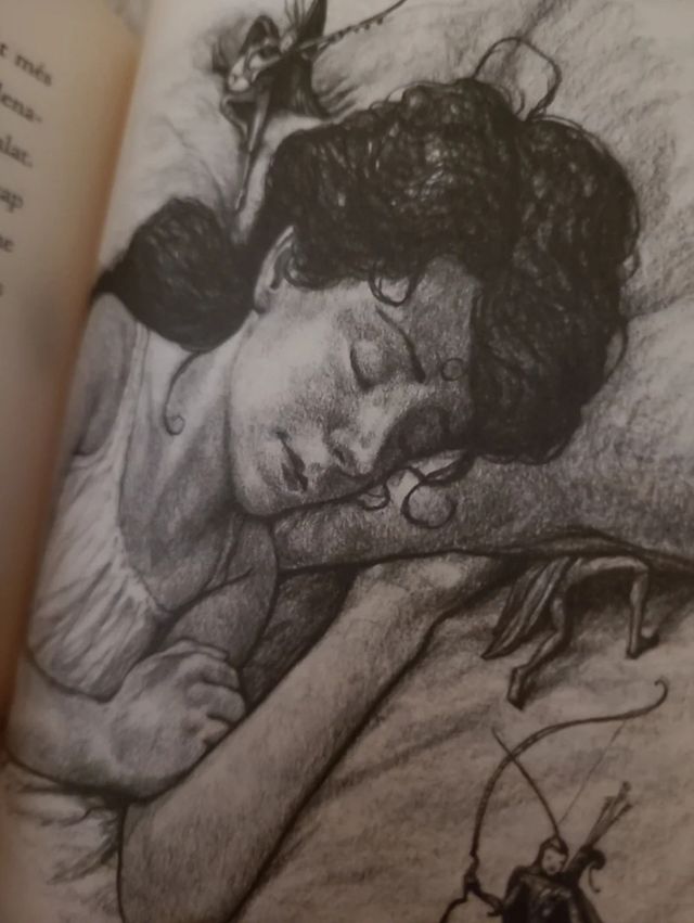 La Fada Reina de les Dents