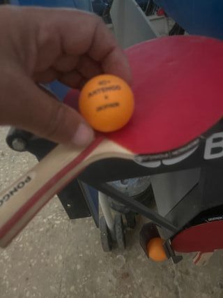 Mesa Ping Pong Butterfly exterior