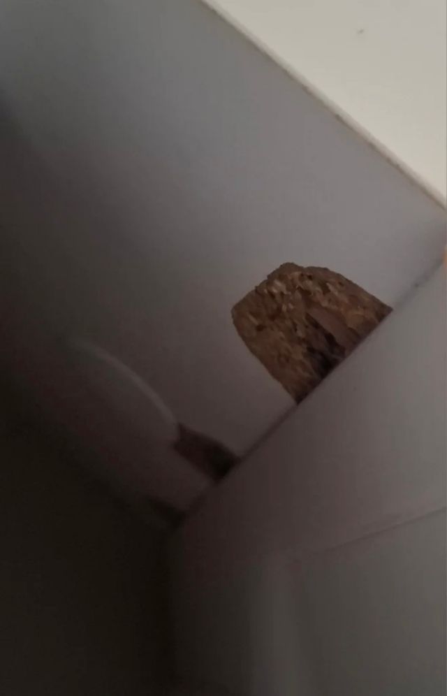 Canapé abatible beige y blanco