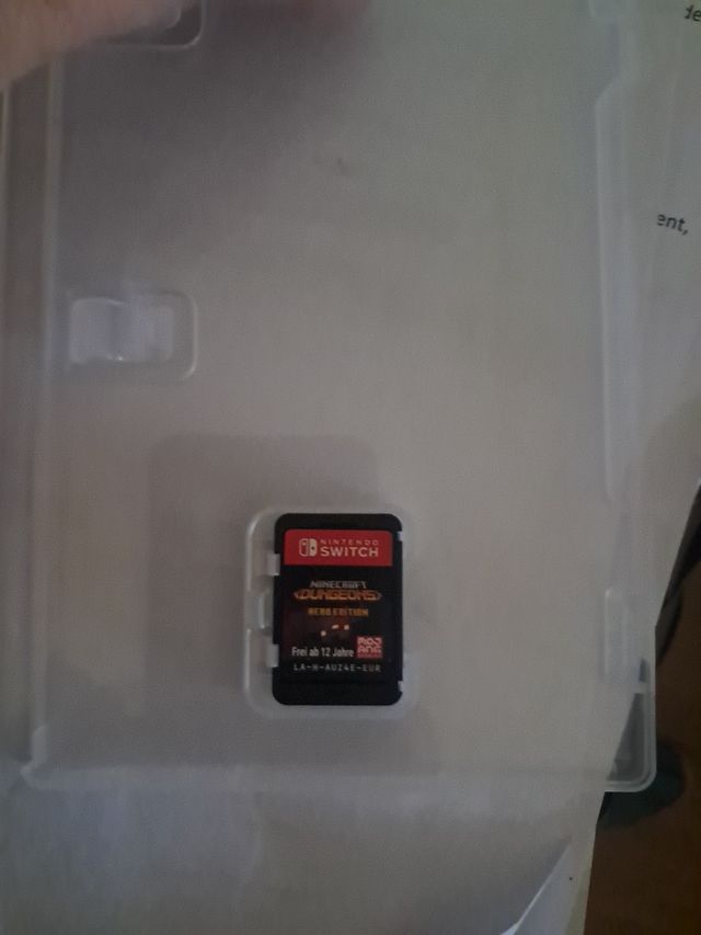 Minecraft Dungeons Hero Edition Switch