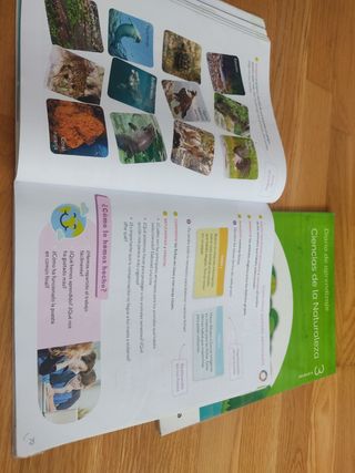 CIENCIAS DE LA NATURALEZA 3 PRIMARIA CONSTRUYEN...