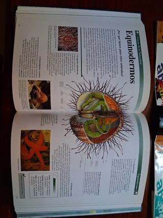 10 ENCICLOPEDIAS DE CONSULTA