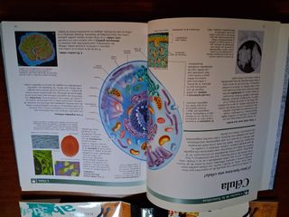10 ENCICLOPEDIAS DE CONSULTA