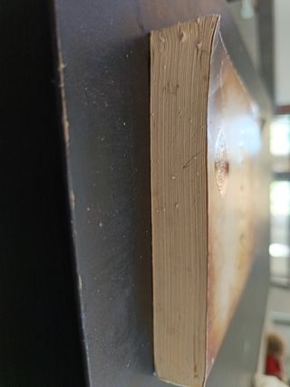 The magic (Italian Edition)