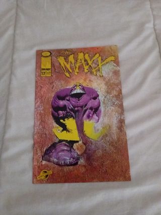 The Maxx N17