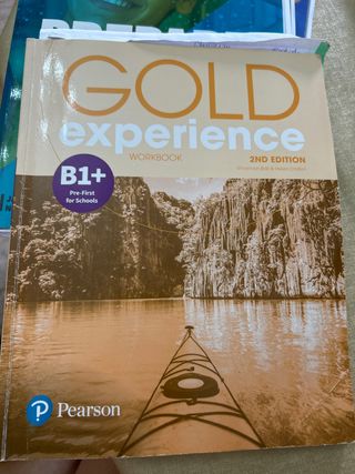 Gold Experience 2nd Edition B1+ Workbook (Gold ...