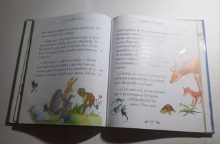 Cuentos para niños (Los Mejores Cuentos) (Spani...