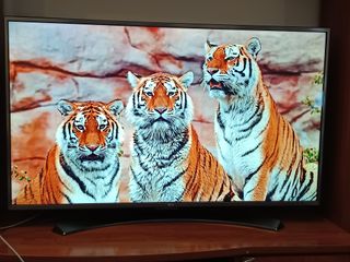 Smart TV LG 49" 4K 