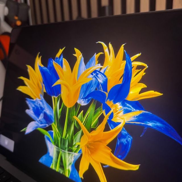 MacBook Pro 14” M2 Pro 32GB/512GB