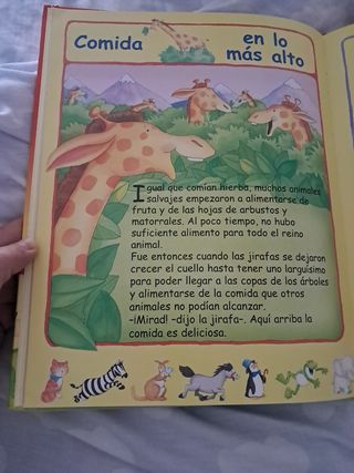 Historias Divertidas De Animales